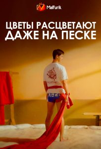 Цветы расцветают даже на песке Цветы расцветают даже на песке