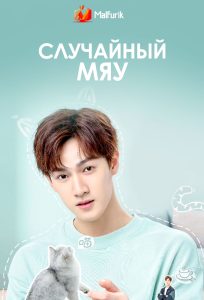 Случайный мяу Случайный мяу