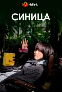 Синица Синица