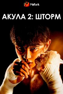 Акула 2: Шторм Акула 2: Шторм